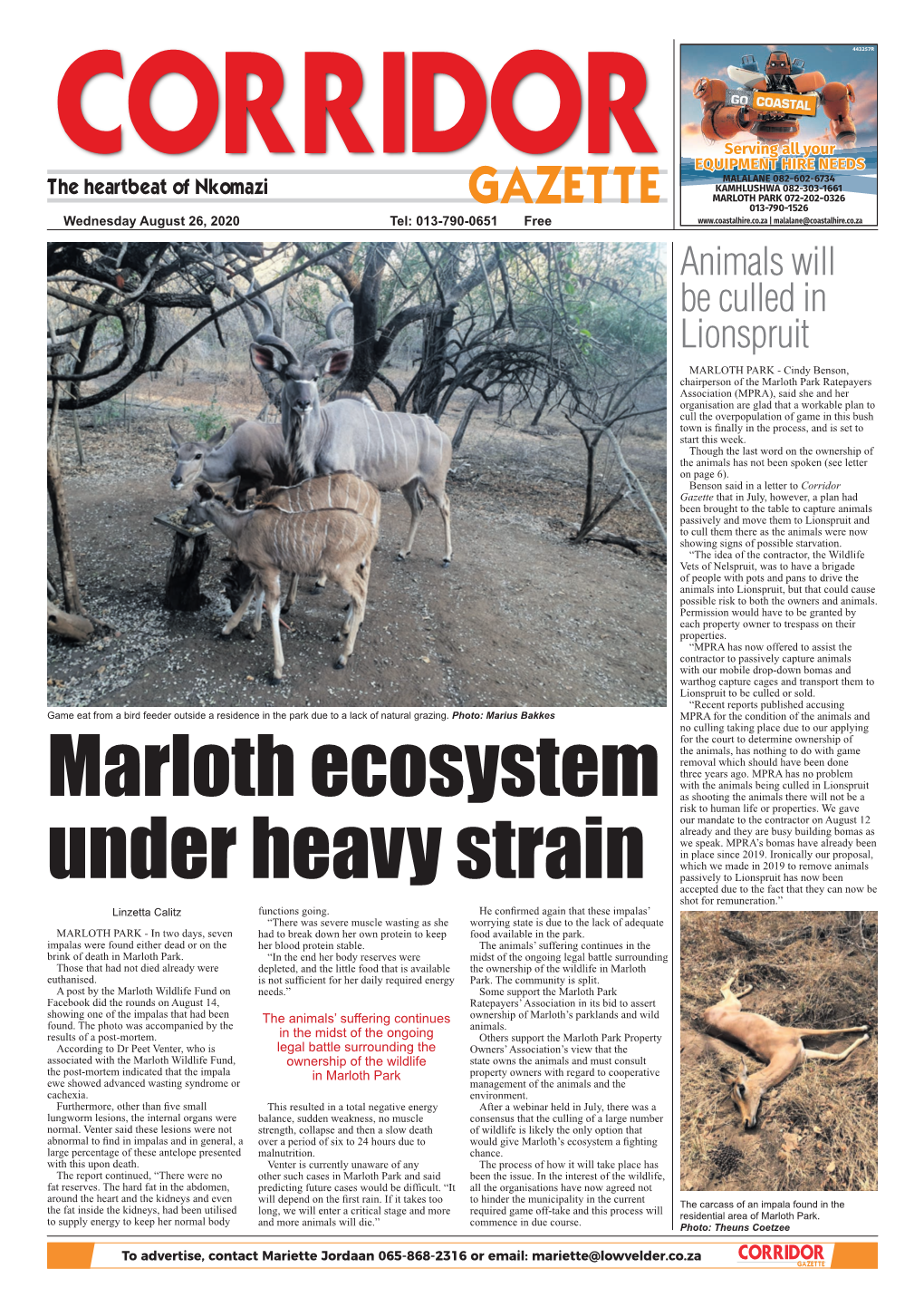 Animals Will Be Culled in Lionspruit