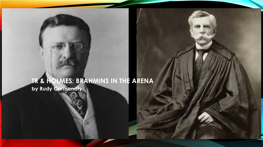 BRAHMINS in the ARENA by Rudy Carmenaty the MODERN PRESIDENCY BEGINS with “TR”