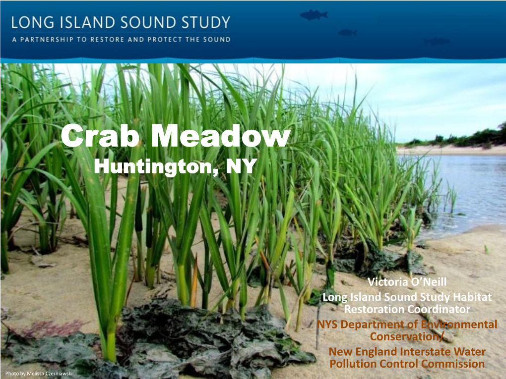 LISS Crab Meadow.Pdf