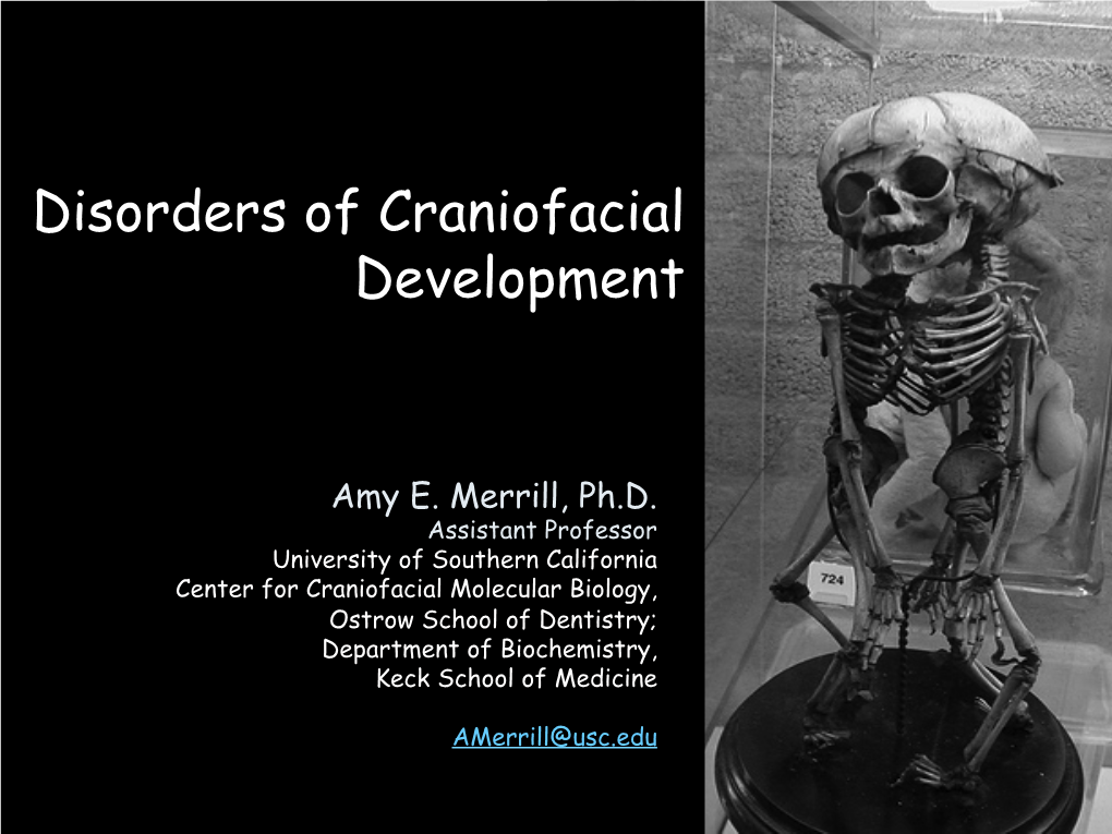 Disorders of Craniofacial Development