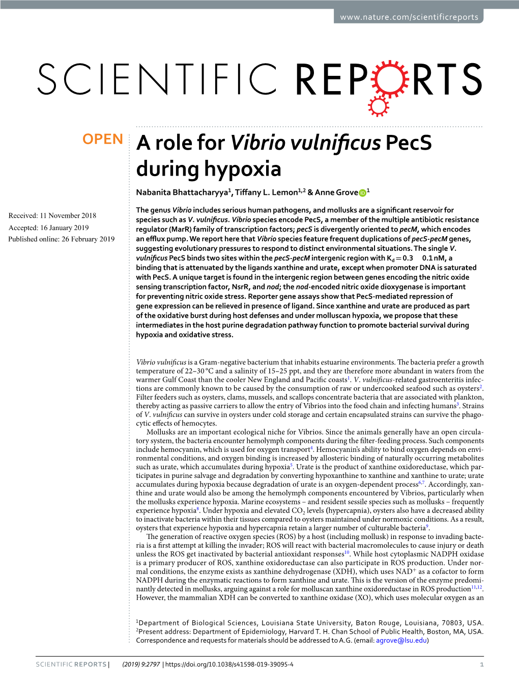 A Role for Vibrio Vulnificus Pecs During Hypoxia