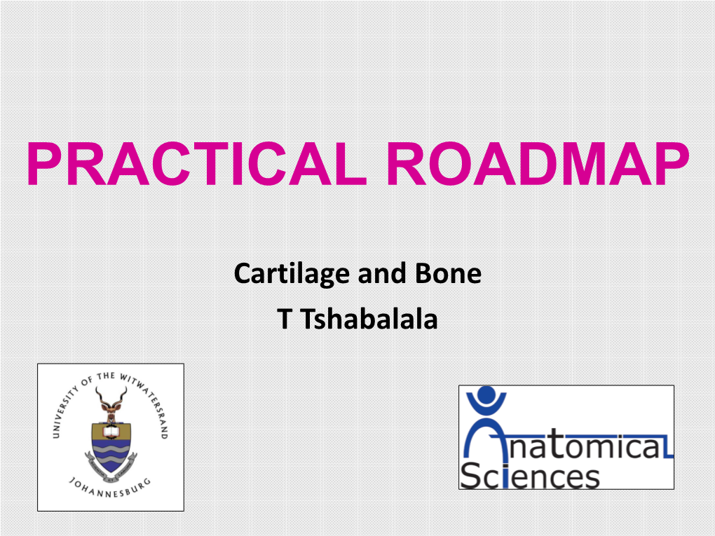 Cartilage and Bone Roadmap.Pdf