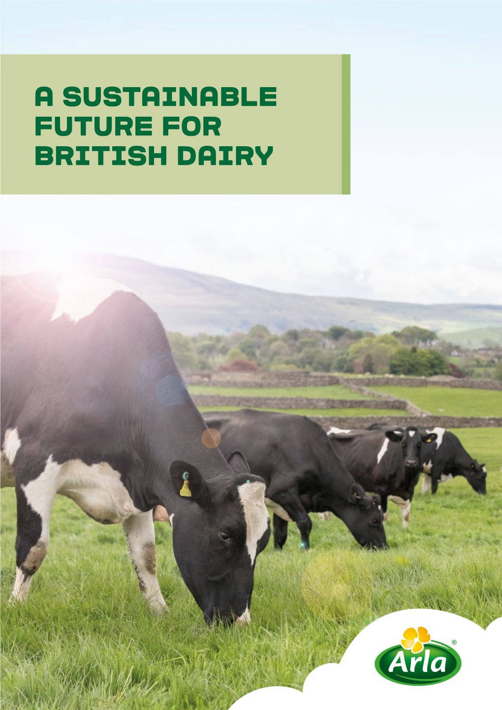 A Sustainable Future for British Dairy