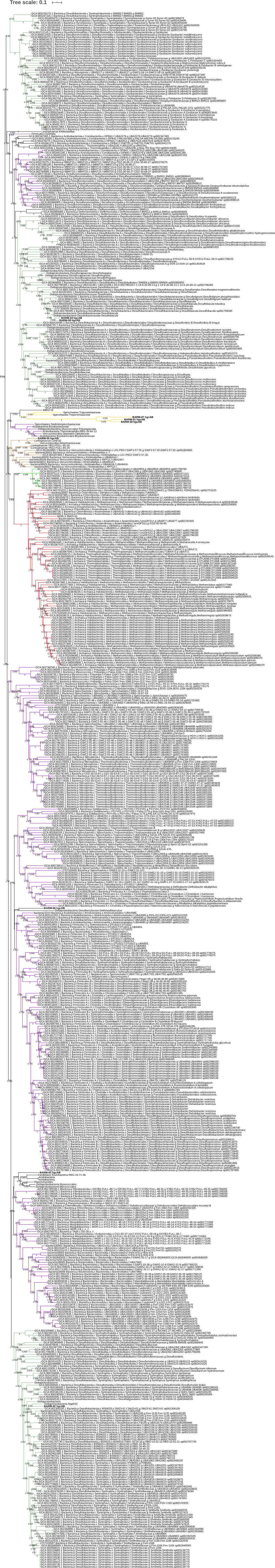 Tree Scale: 0.1