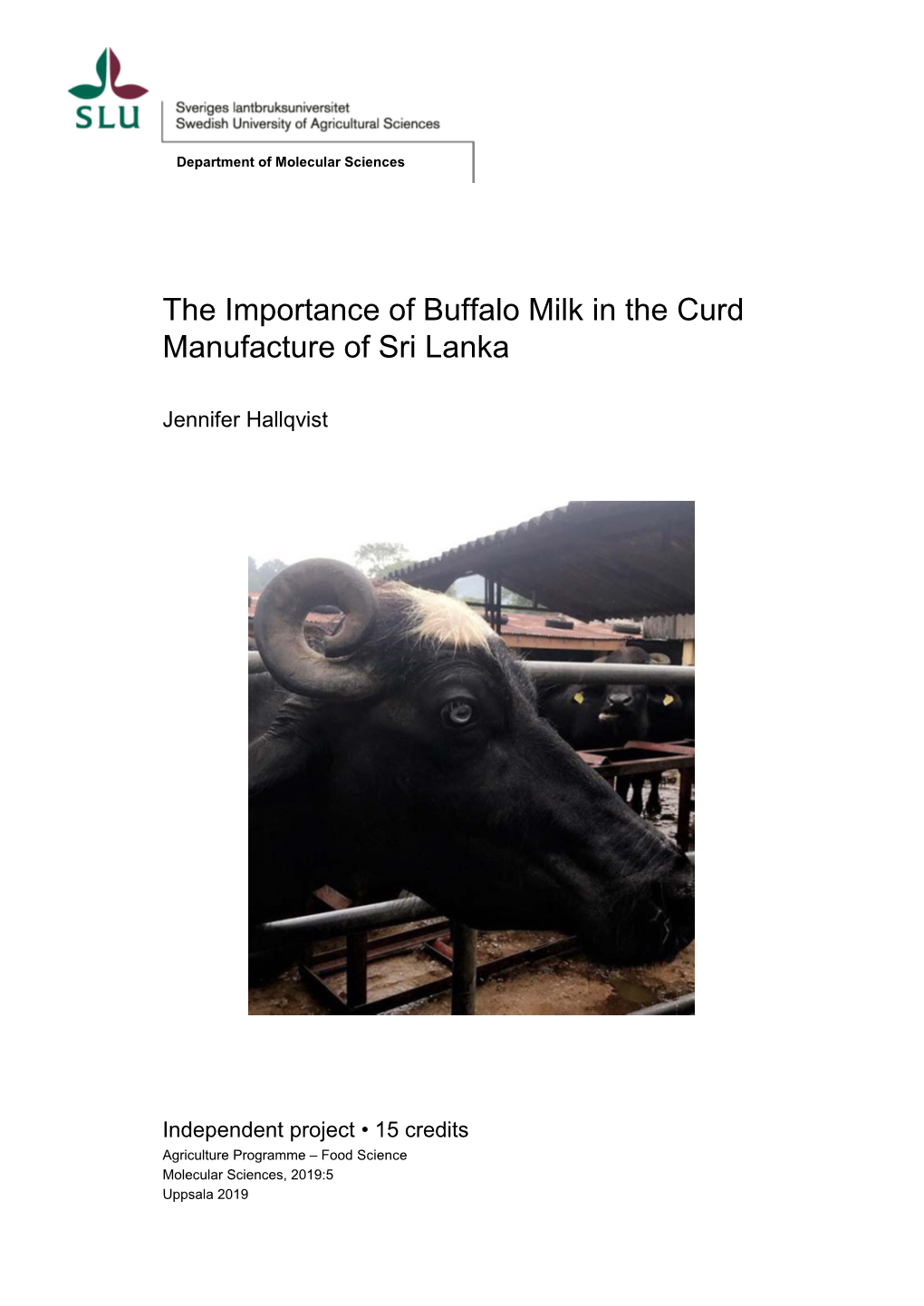 The Importance of Buffalo Milk in the Curd Manufacture of Sri Lanka