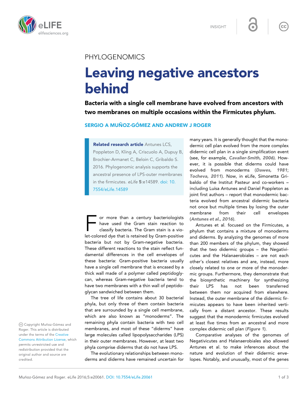 Leaving Negative Ancestors Behind