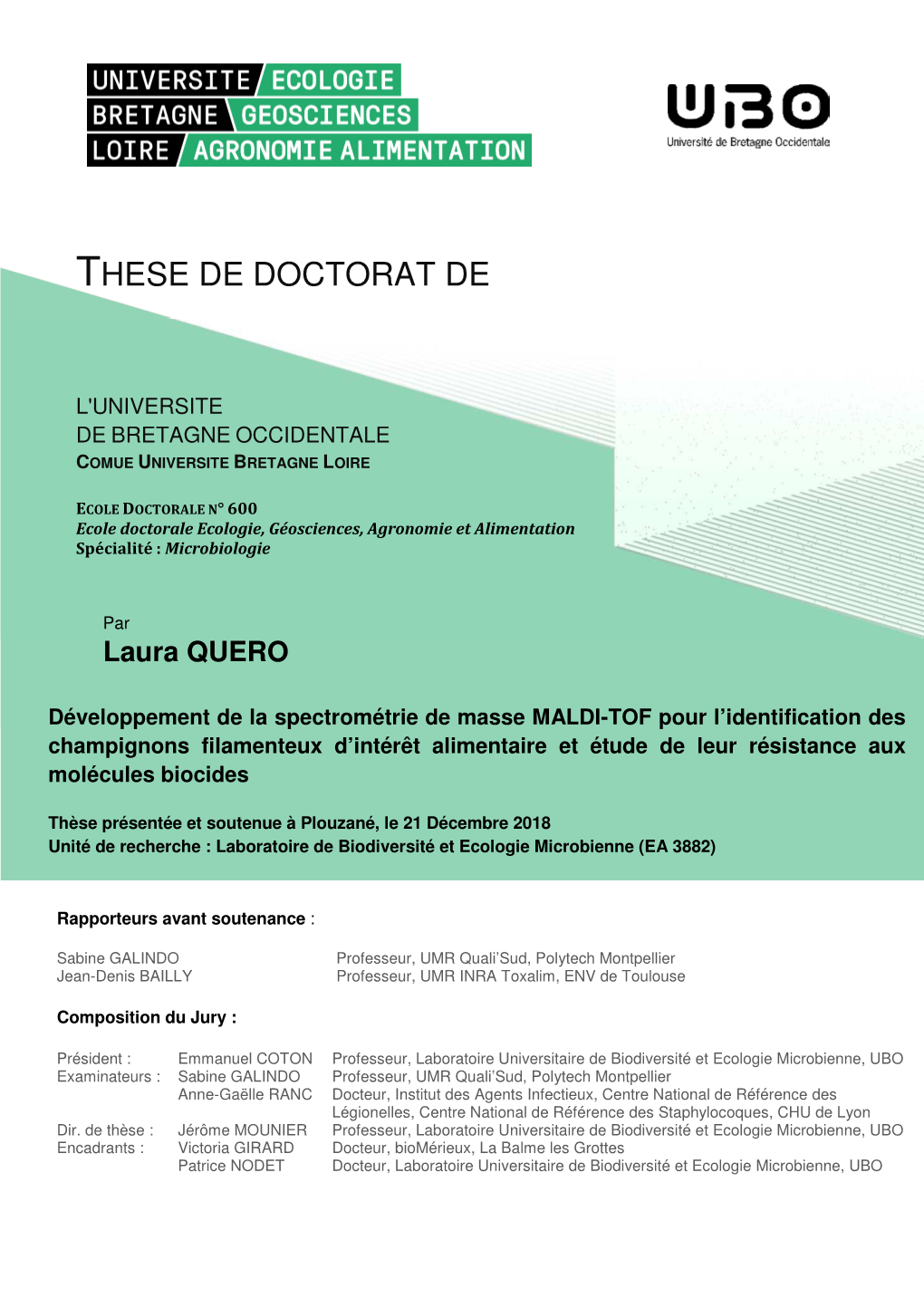 These De Doctorat De