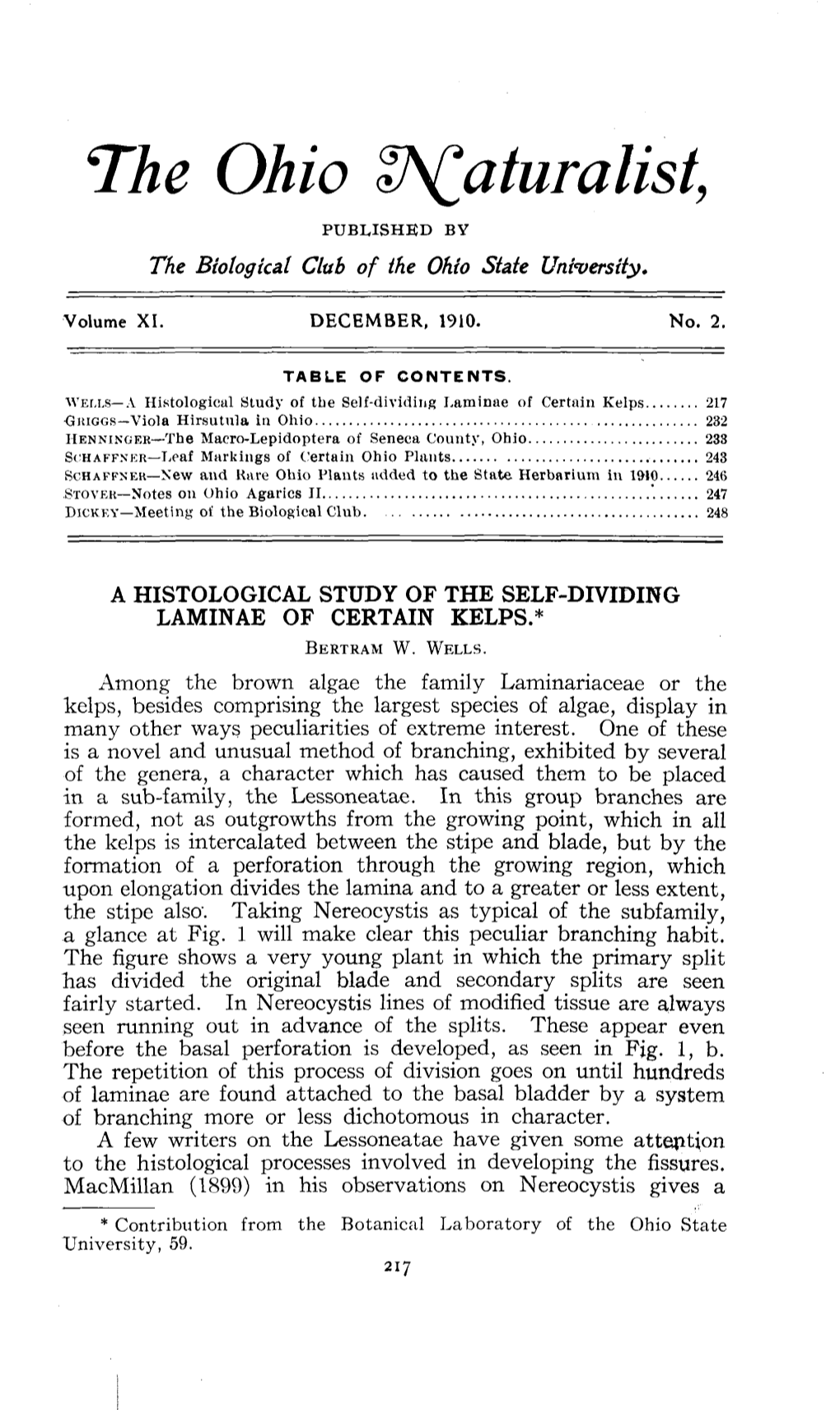 A Histological Study of the Self-Dividing Laminae of Certain