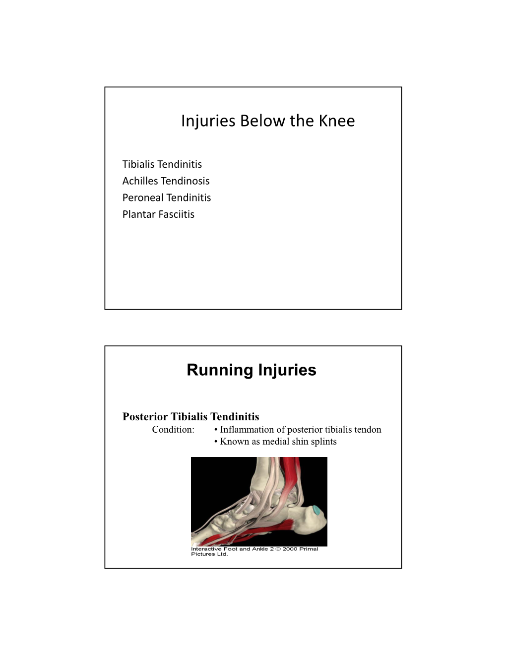 Injuries Below the Knee