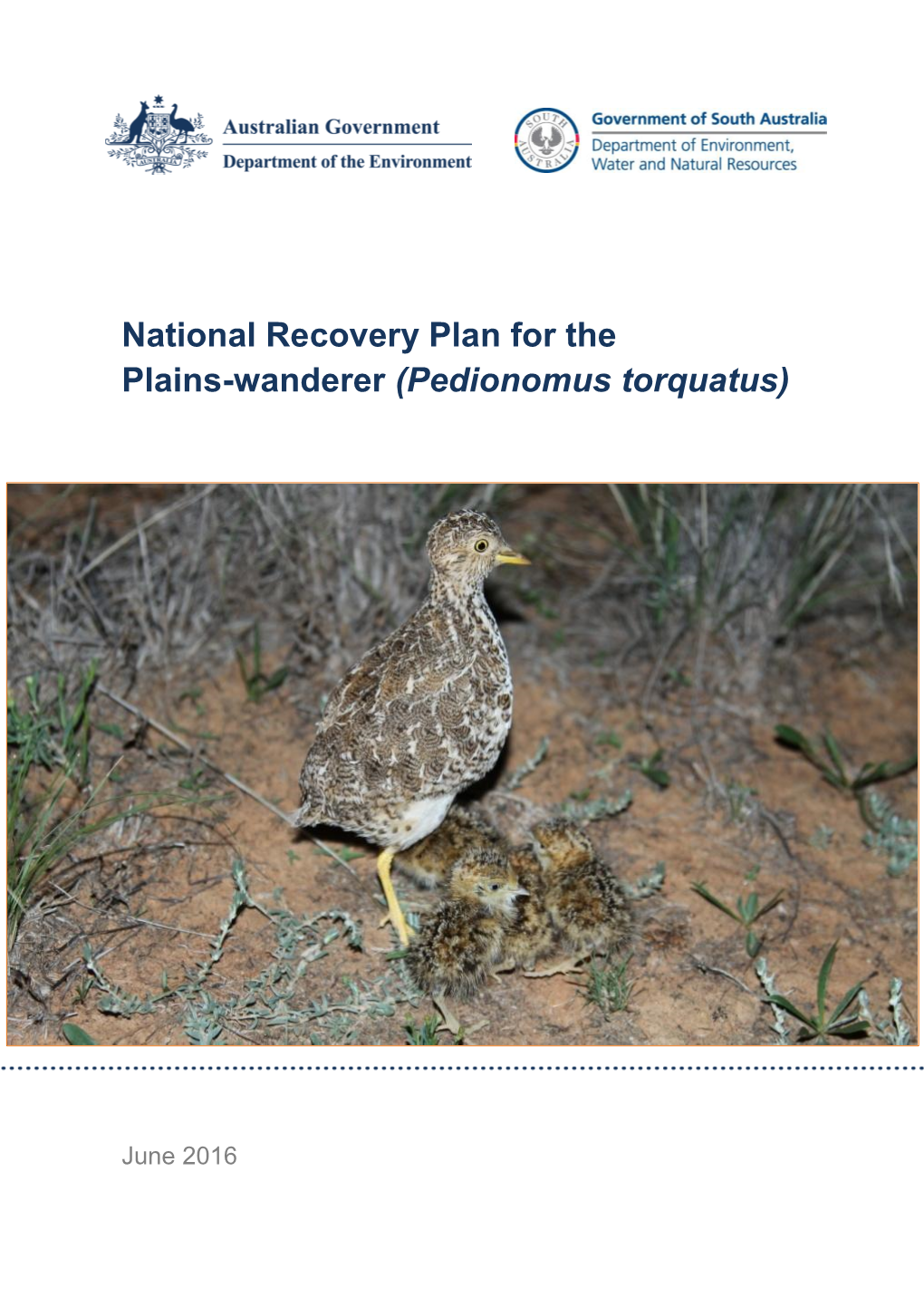 National Recovery Plan for the Plains-Wanderer (Pedionomus Torquatus)