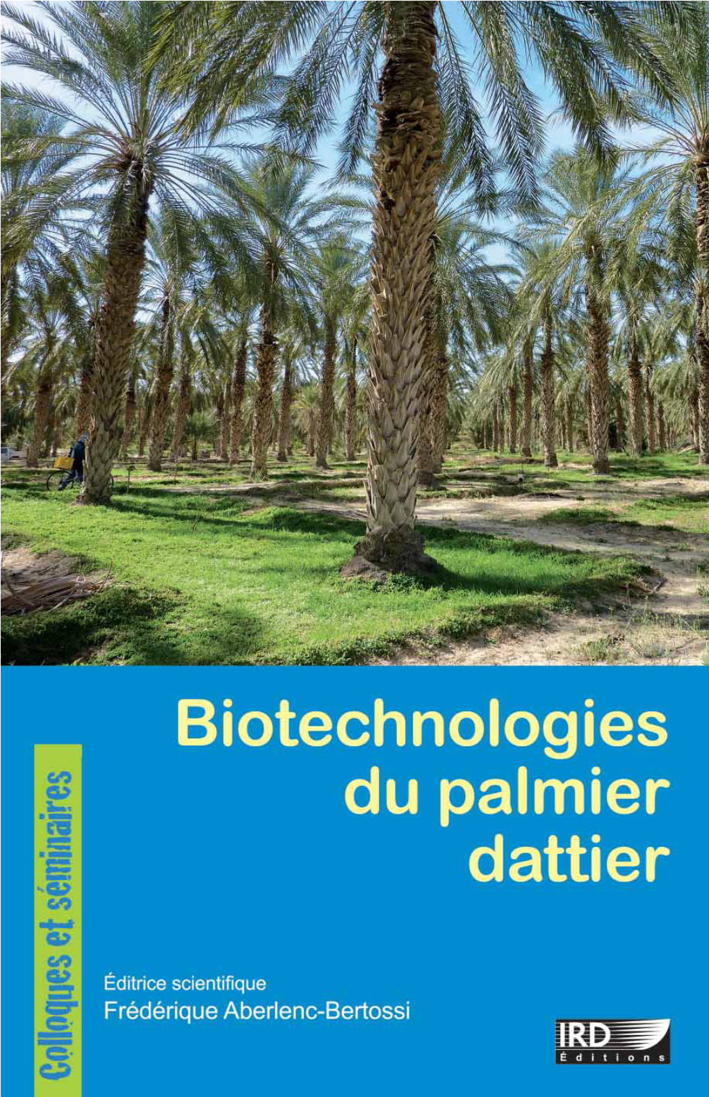 Biotechnologies Du Palmier Dattier