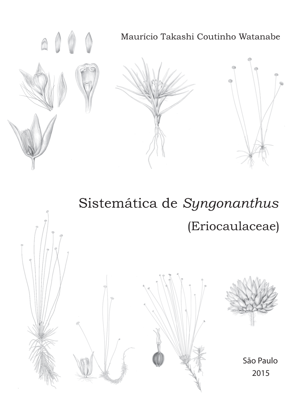 Sistemática De Syngonanthus (Eriocaulaceae)