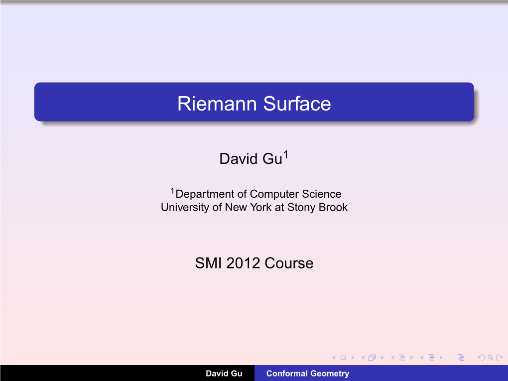 Riemann Surface