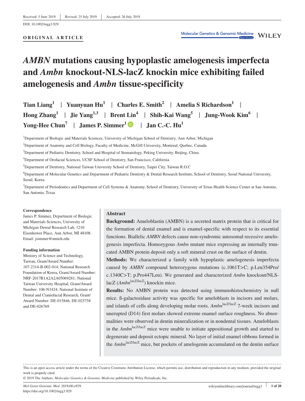 AMBN Mutations Causing Hypoplastic Amelogenesis Imperfecta and Ambn Knockout‐NLS‐Lacz Knockin Mice Exhibiting Failed Amelogenesis and Ambn Tissue‐Specificity