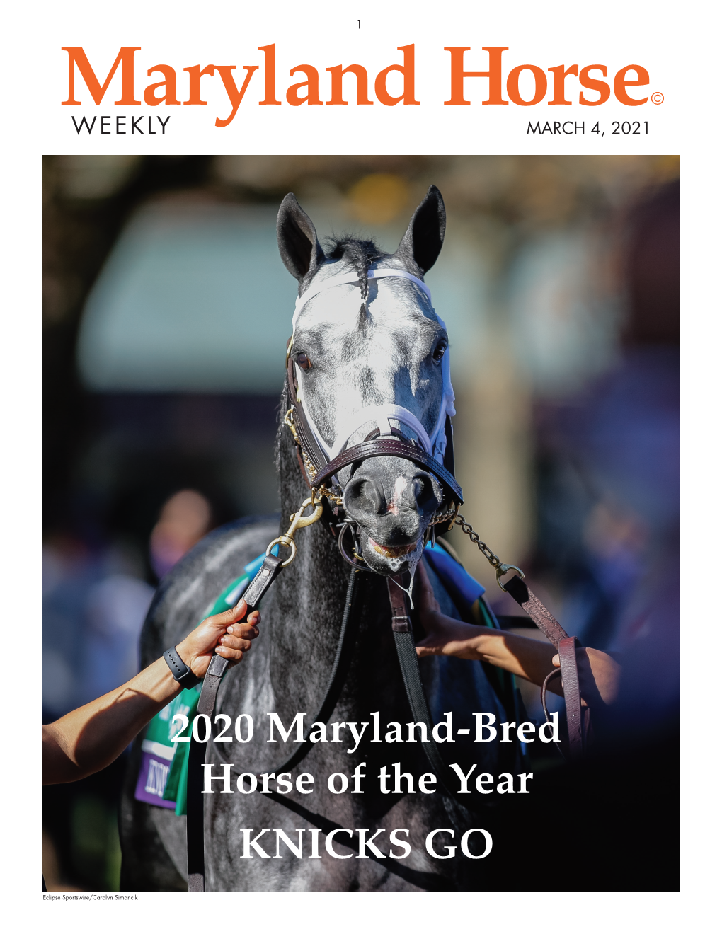 2020 Maryland-Bred Horse of the Year KNICKS GO