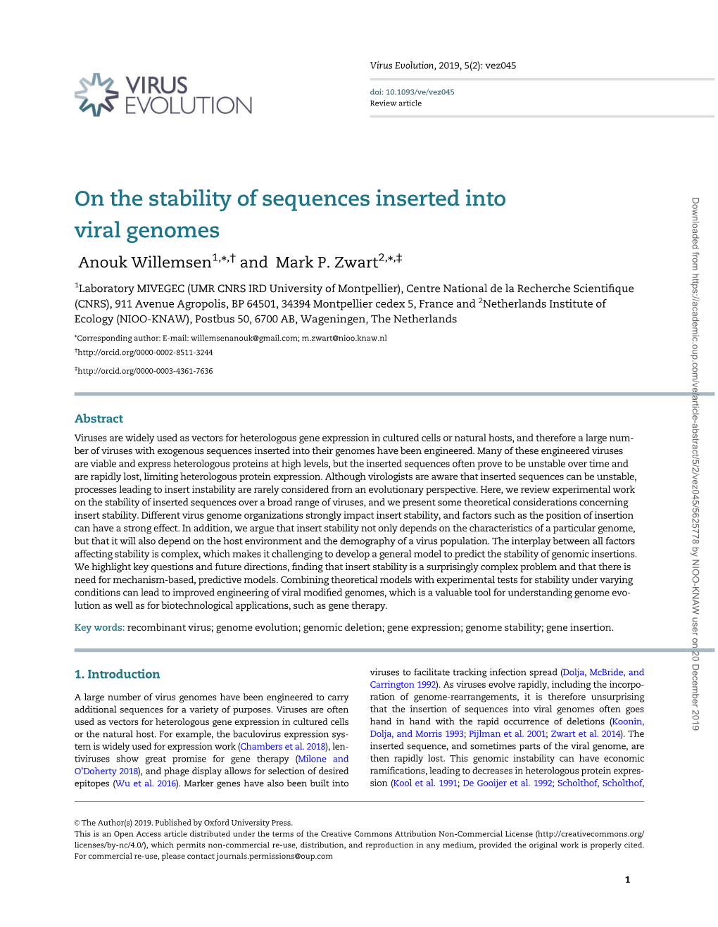 On the Stability of Sequences Inserted Into Viral Genomes