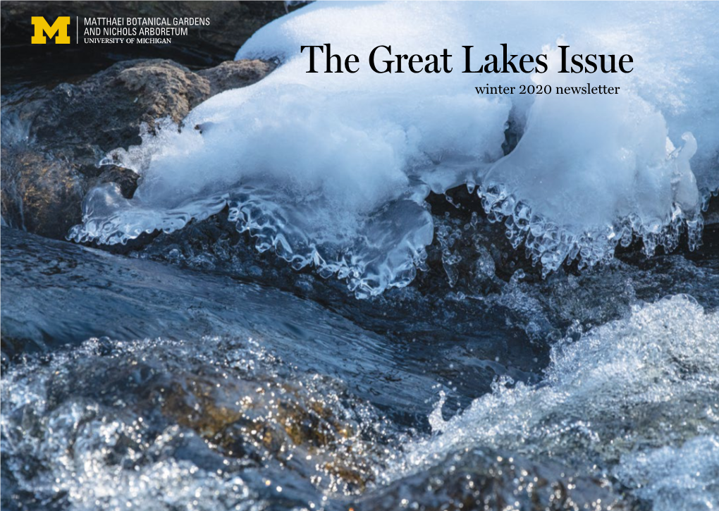 Winter 2020 Newsletter Great Lakes for the Whole Story of the Great Lakes, Go Beyond the Storied Lakes Themselves