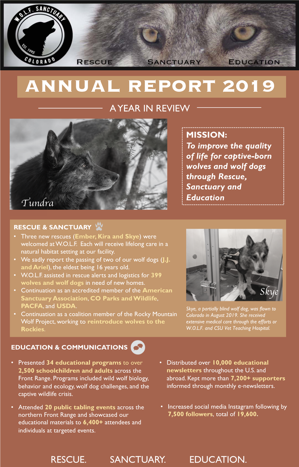 2019 Annual Report