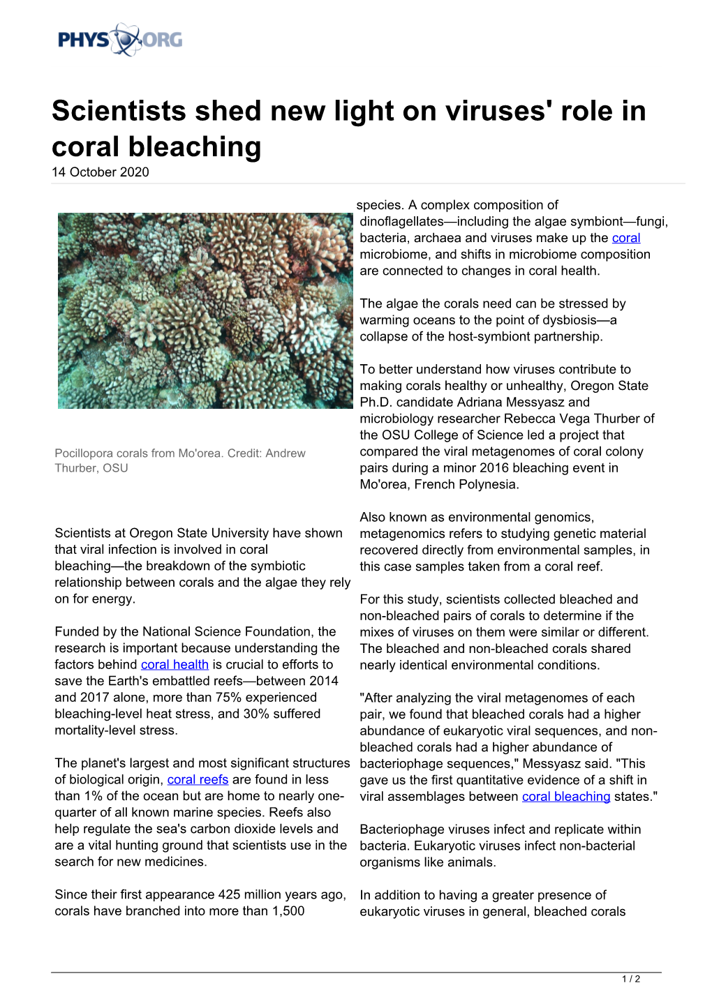 Scientists Shed New Light on Viruses' Role in Coral Bleaching 14 October 2020