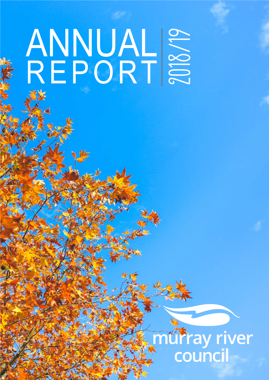 Murray River Council Annual Report 1
