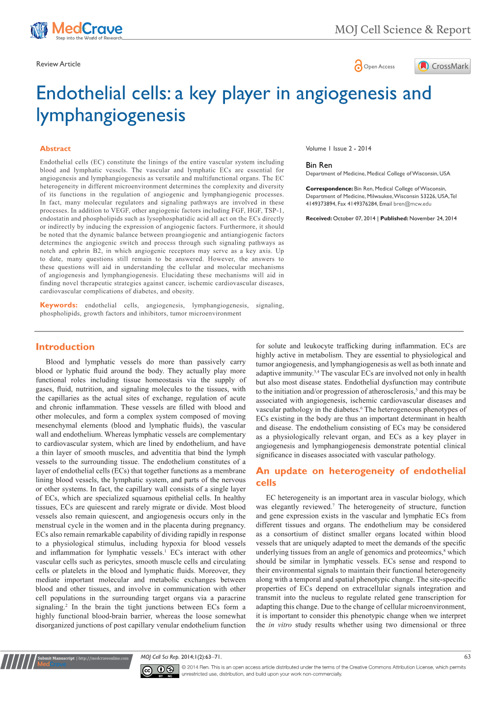 Endothelial Cells: a Key Player in Angiogenesis and Lymphangiogenesis