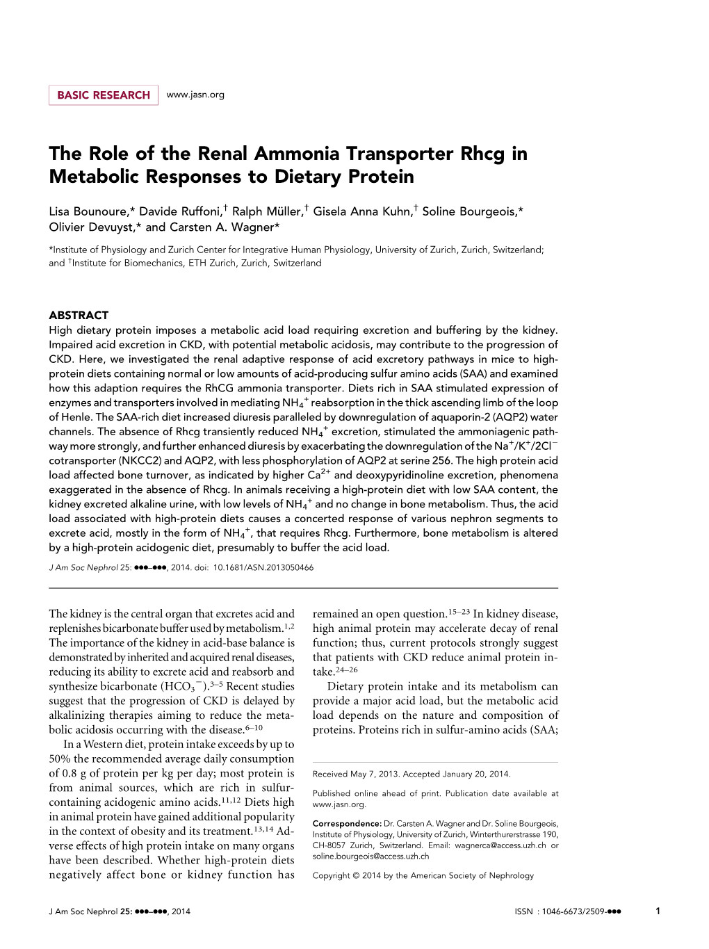 The Role of the Renal Ammonia Transporter Rhcg in Metabolic Responses to Dietary Protein