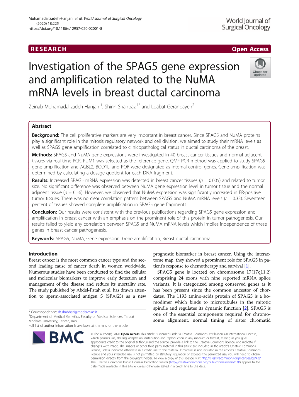 Investigation of the SPAG5 Gene Expression and Amplification