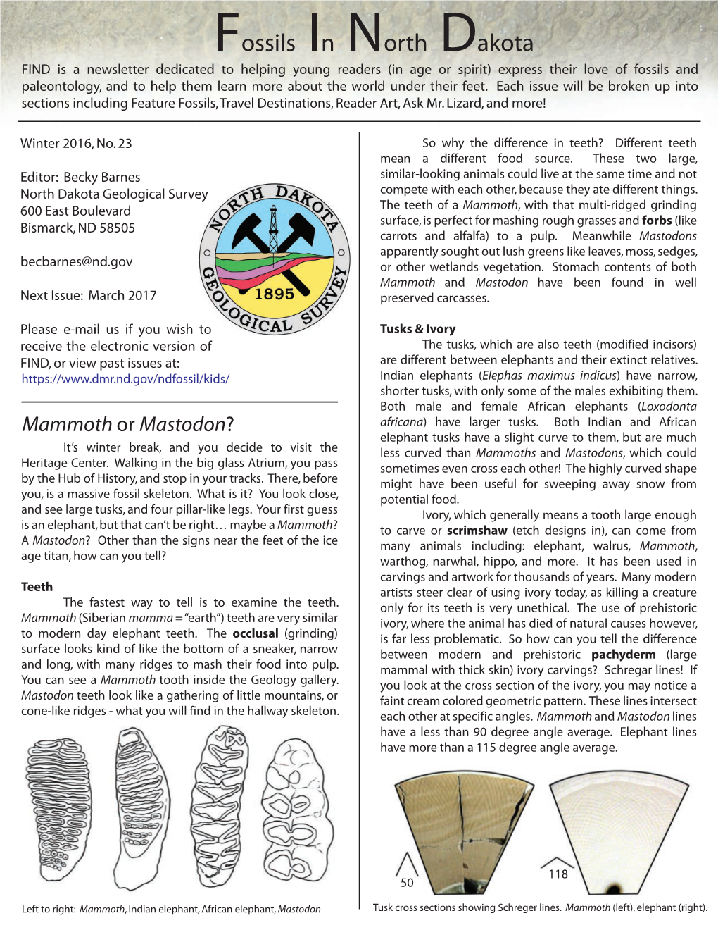 Fossils in North Dakota