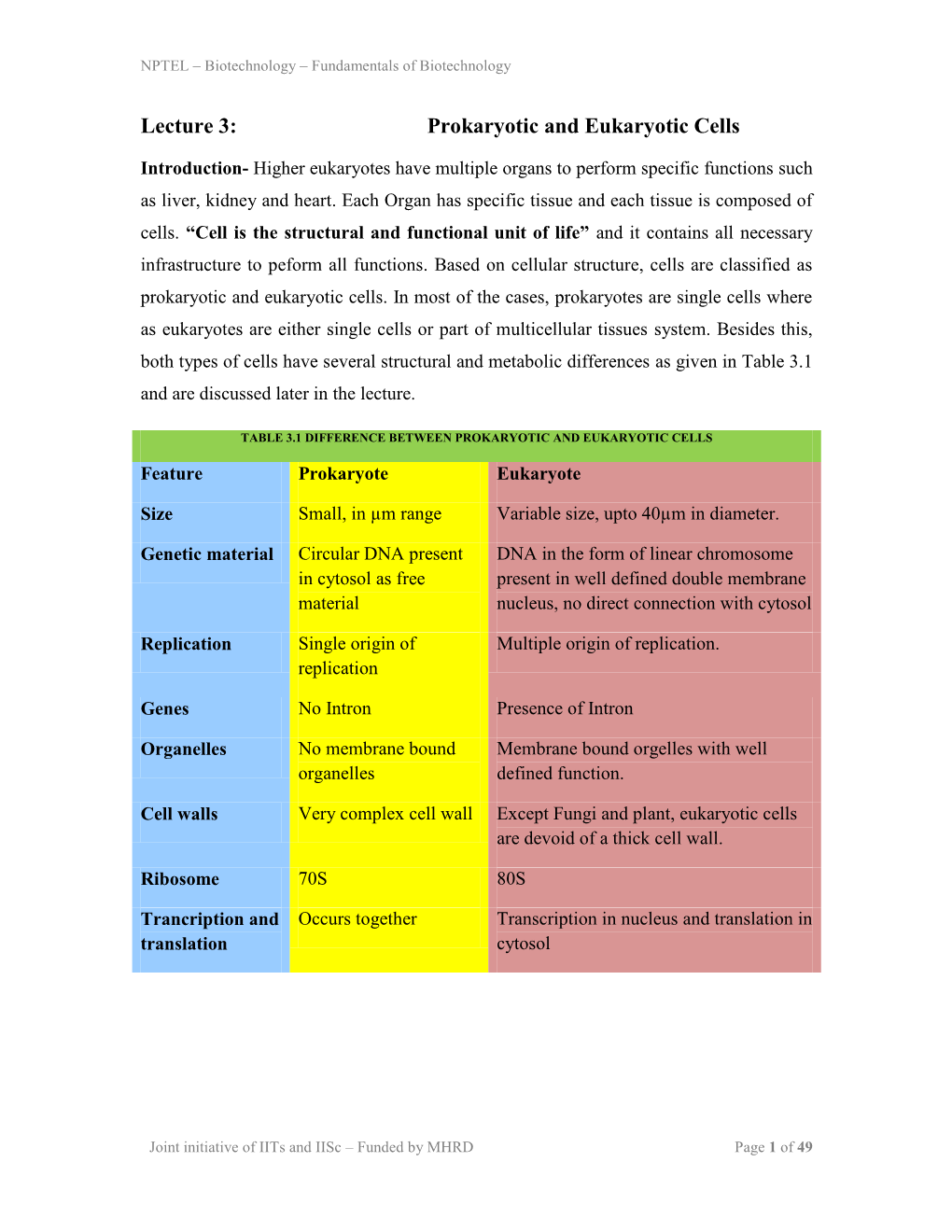 Prokaryotic and Eukaryotic Cells