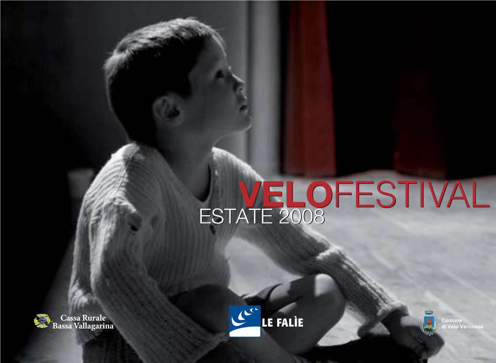 Libretto Velofestival 08