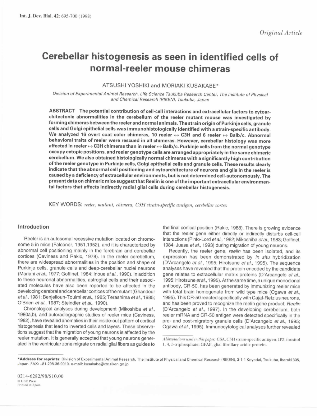 Cerebellar Histogenesis As Seen in Identified Cells of Normal-Reeler Mouse Chimeras