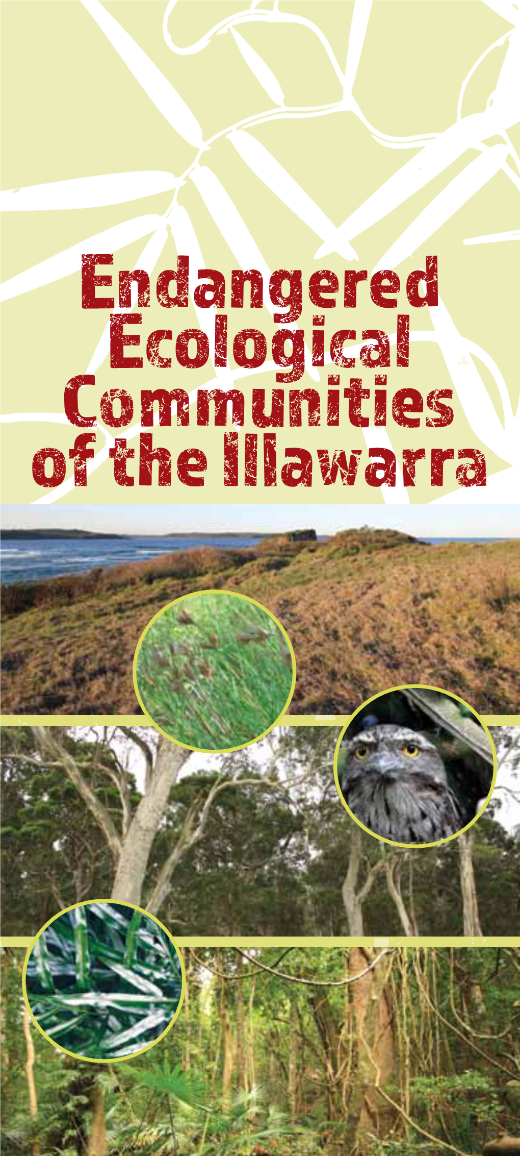 Endangered Ecological Communities of the Illawarra