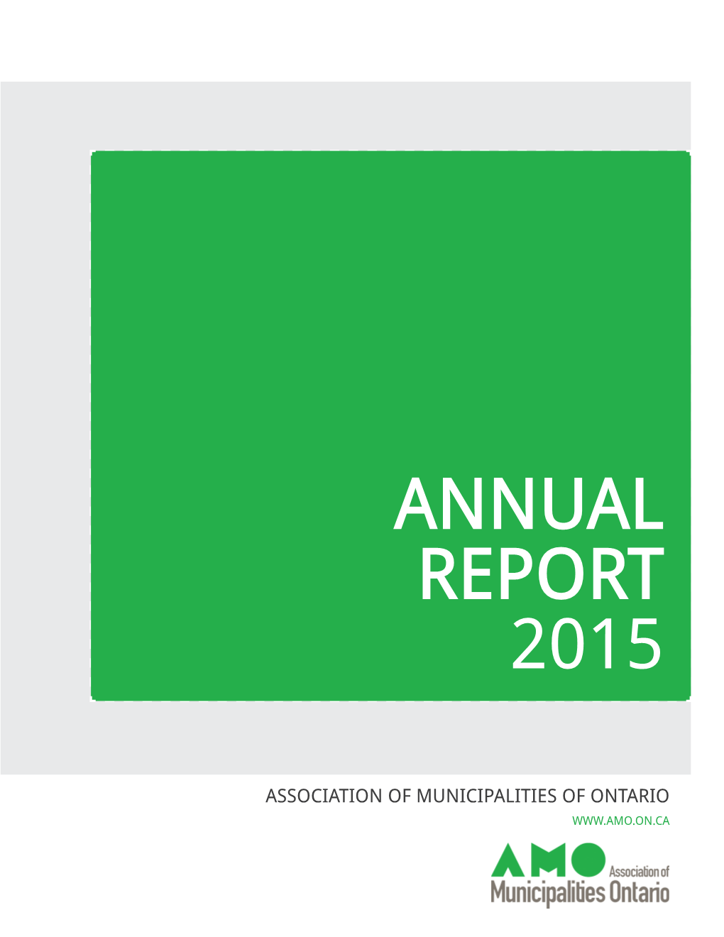 2015 AMO Annual Report