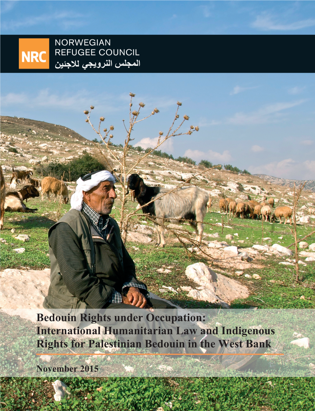 Bedouin Rights Under Occupation: International Humanitarian Law and Indigenous Rights for Palestinian Bedouin in the West Bank