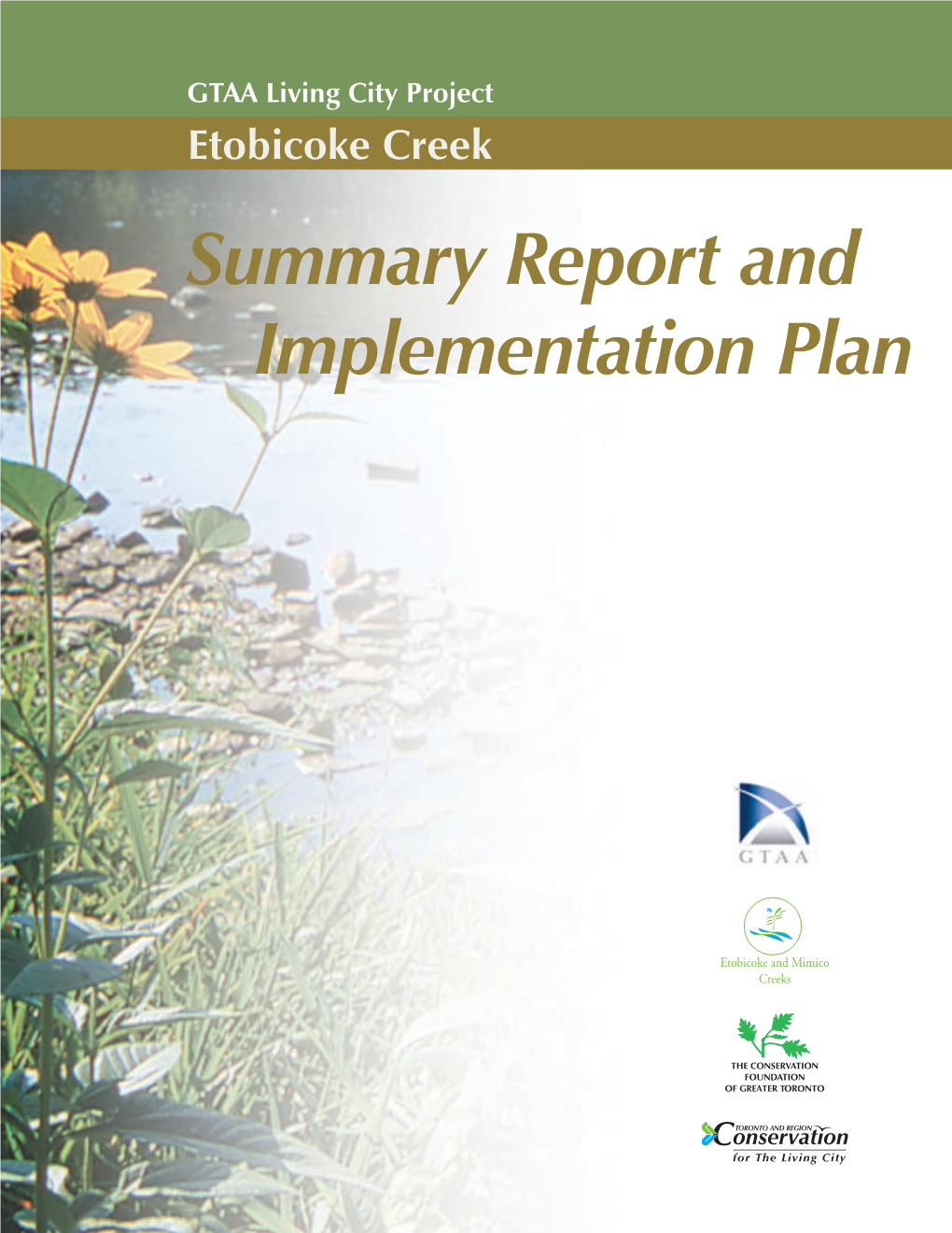 Summary Report and Implementation Plan Summary Report and Implementation Plan