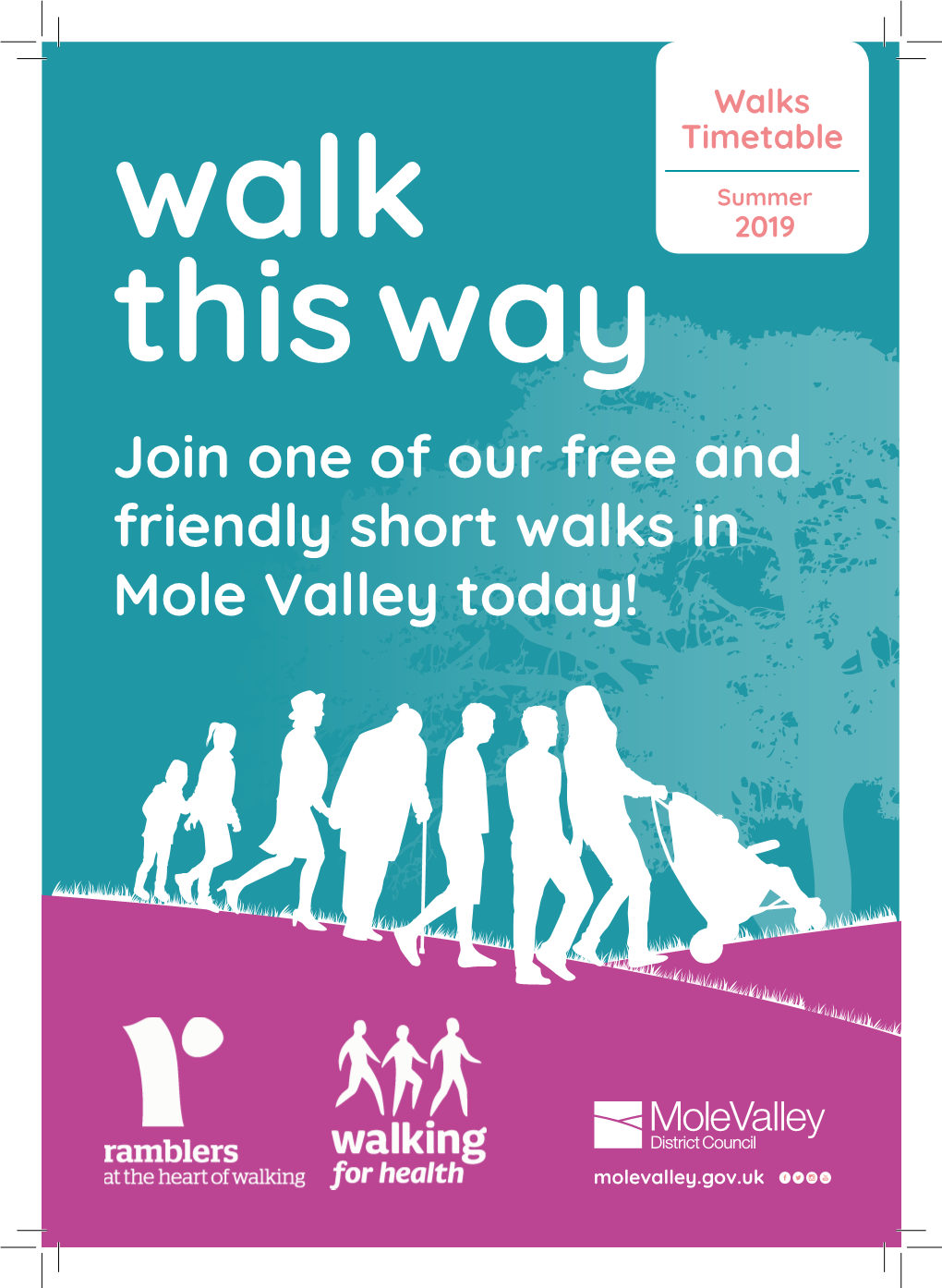 Join One of Our Free and Friendly Short Walks in Mole Valley Today!