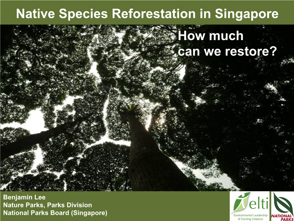 Native Species Reforestation in Singapore How Much Can We Restore?