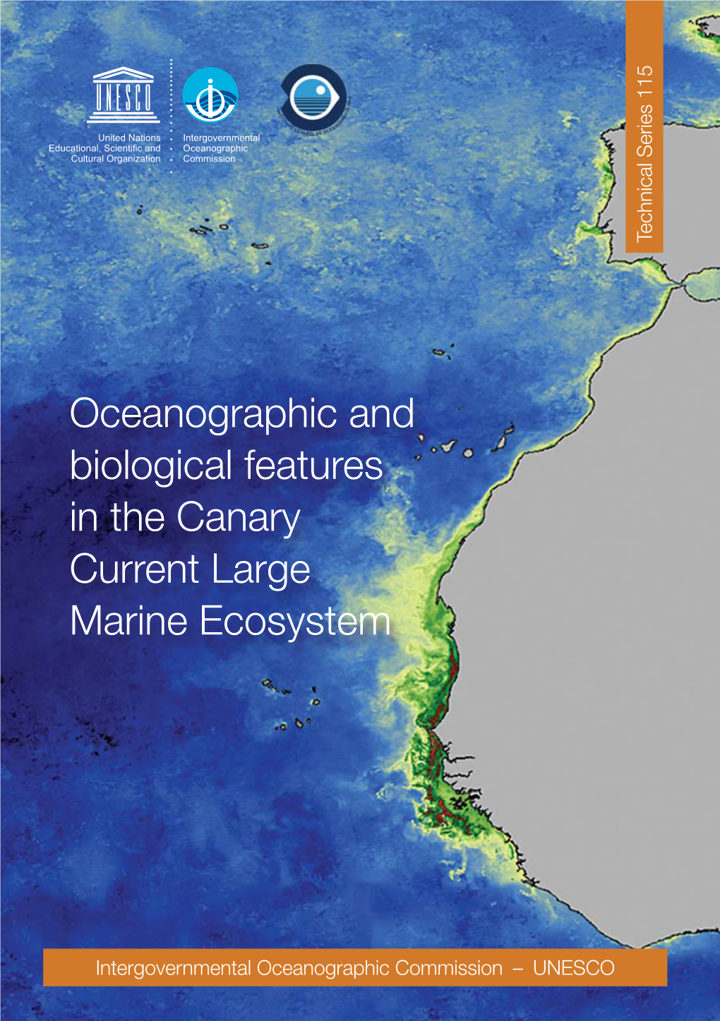 Oceanographic and Biological Features in the Canary Current