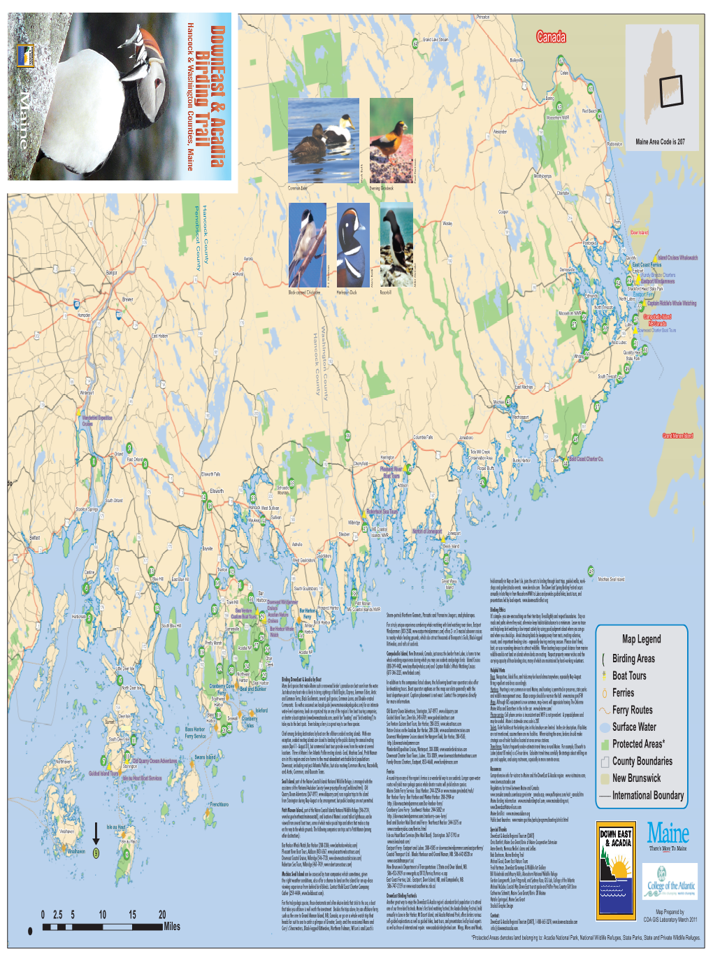 The Downeast & Acadia Birding Trail