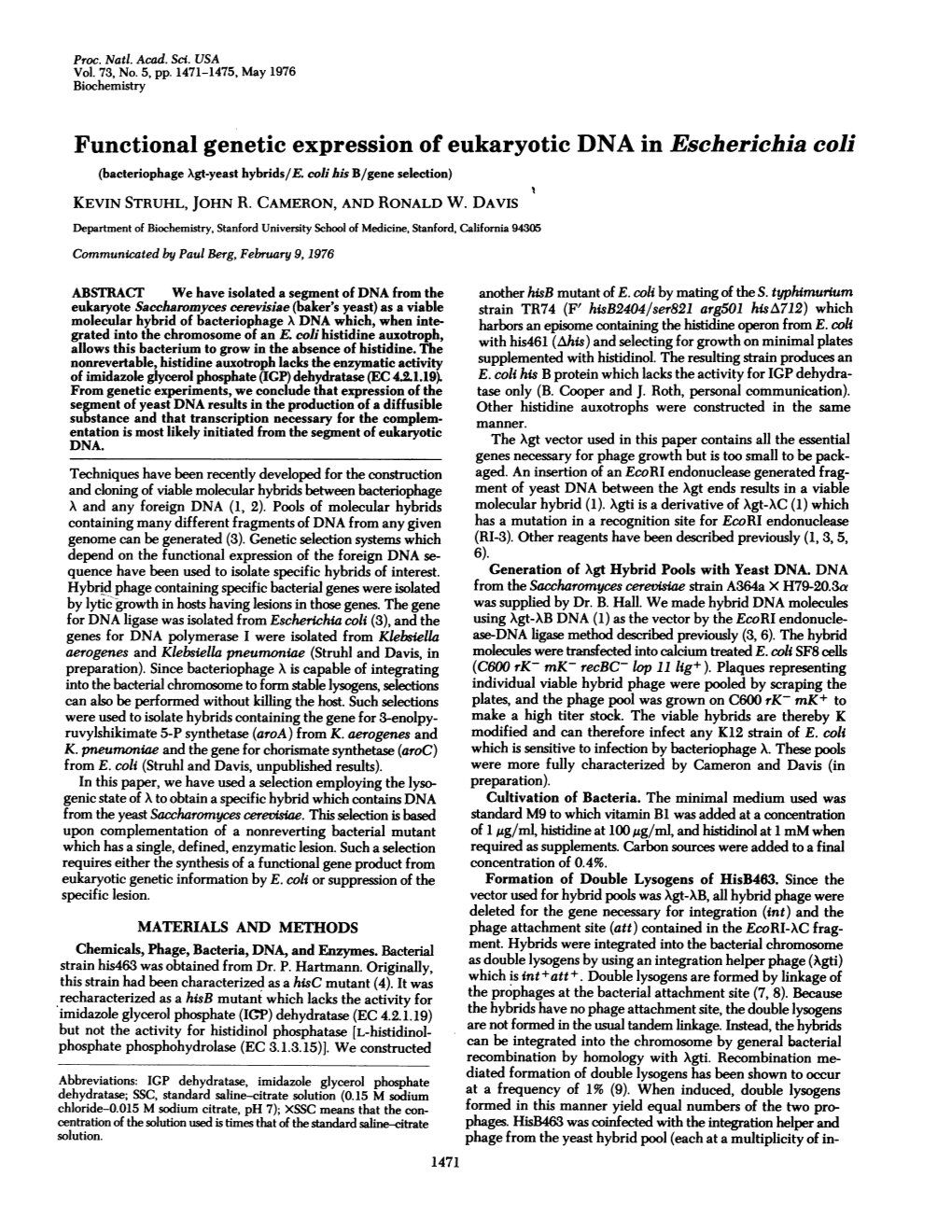 Functional Genetic Expression of Eukaryotic DNA in Escherichia Coli (Bacteriophage Xgt-Yeast Hybrids/E