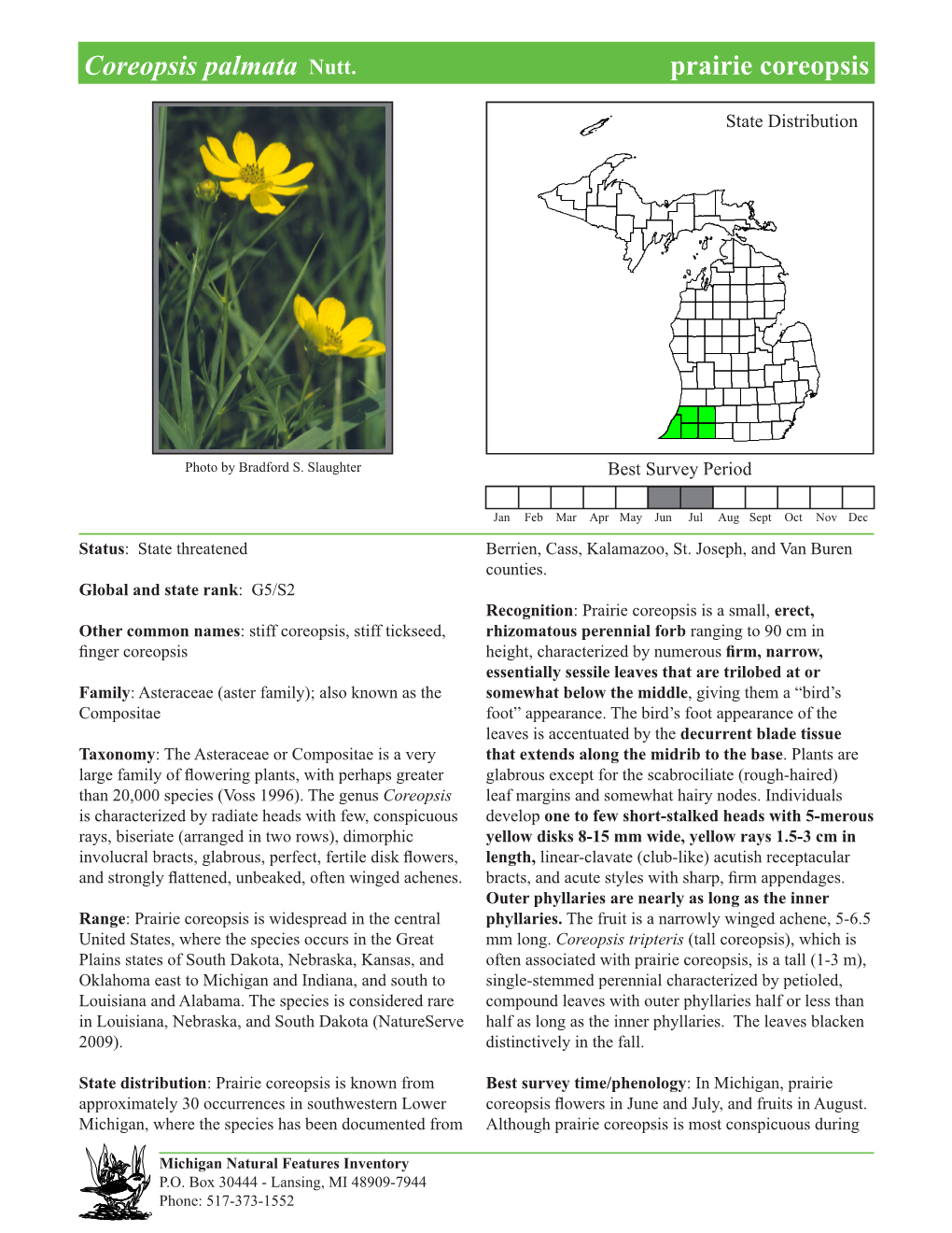 Coreopsis Palmata Nutt