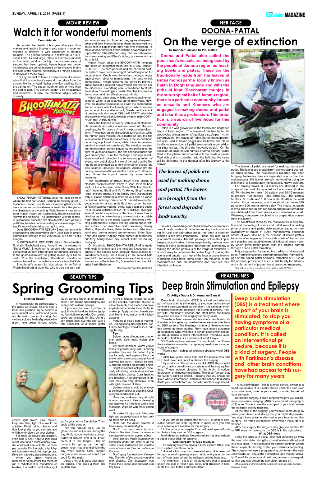 Spring Grooming Tips Deep Brain Stimulation and Epilepsy Dr Aditya Gupta & Dr