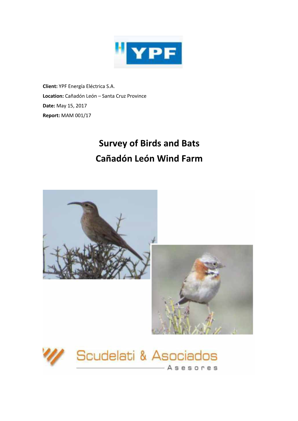 Survey of Birds and Bats Cañadón León Wind Farm
