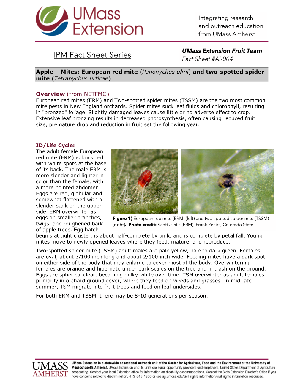 European Red Mite and Two-Spotted Spider Mites