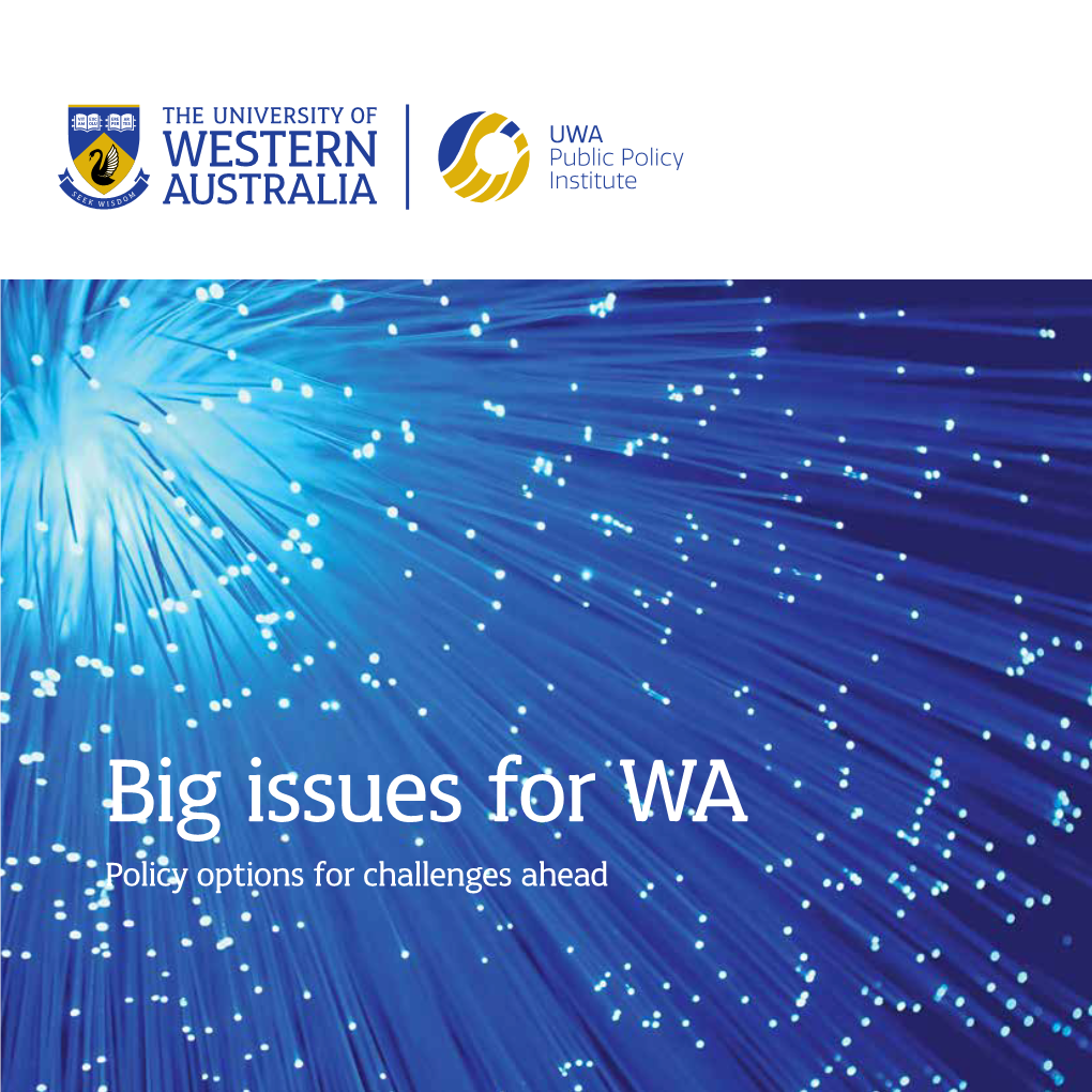 Big Issues for WA Policy Options for Challenges Ahead Big Issues for WA Policy Options for Challenges Ahead Foreword