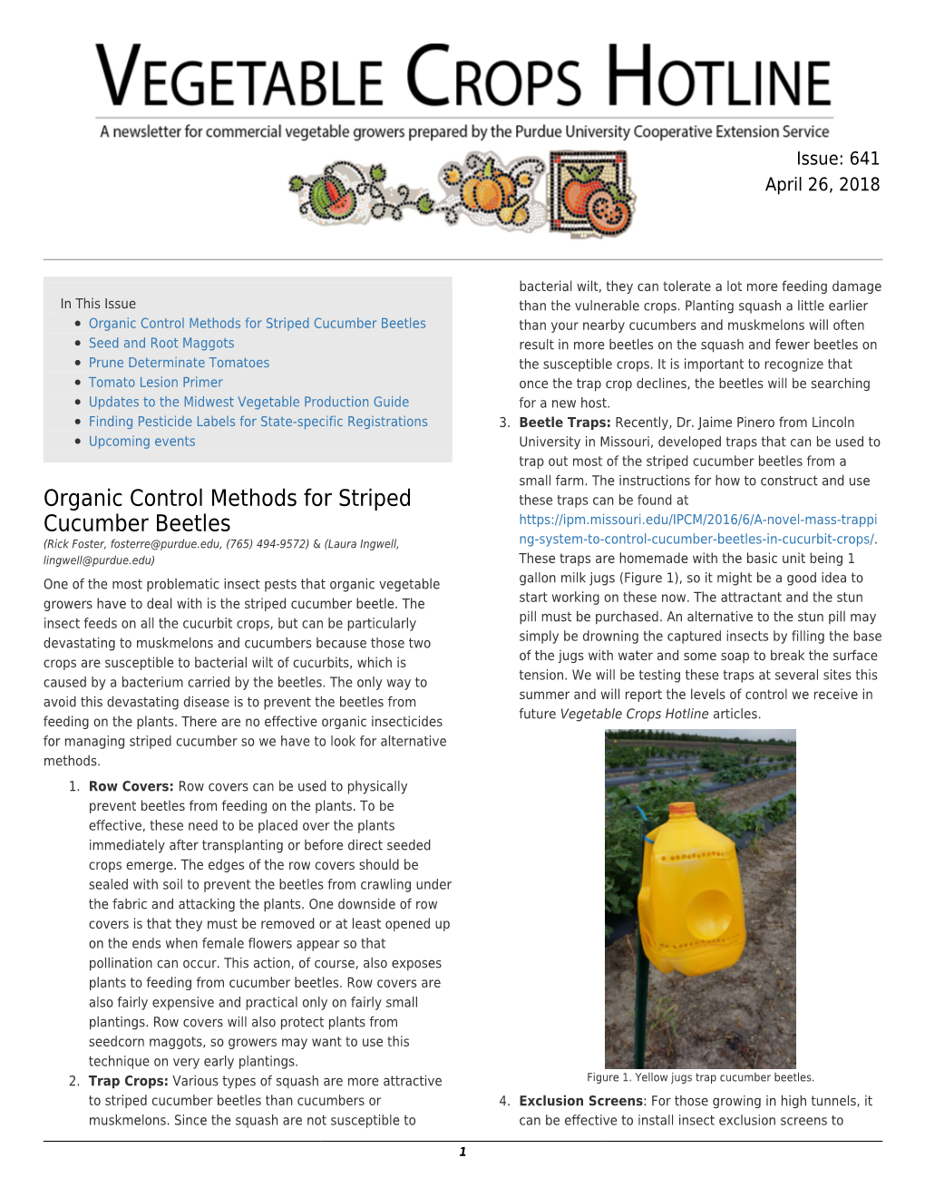 Organic Control Methods for Striped Cucumber Beetles