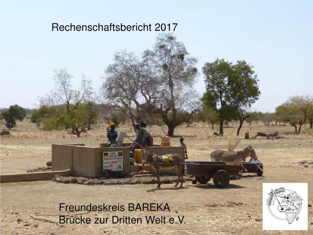 Rechenschaftsbericht 2017