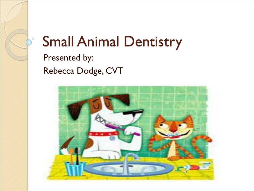 Small Animal Dentistry