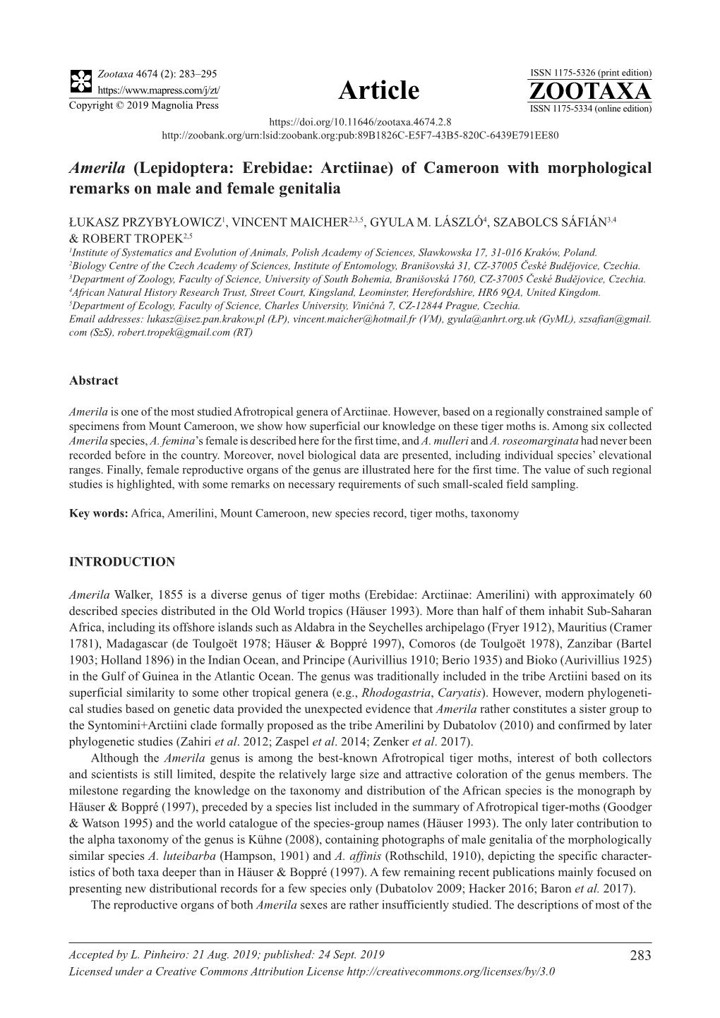 Amerila (Lepidoptera: Erebidae: Arctiinae) of Cameroon with Morphological Remarks on Male and Female Genitalia