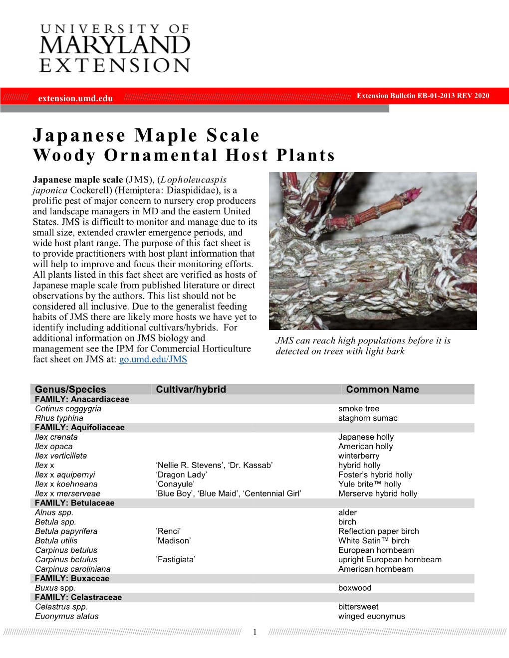 Japanese Maple Scale Woody Ornamental Host Plants